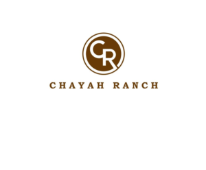 Logo Design by berrinovian for Awaken Faith Foundation | Design: #19520073