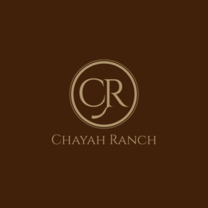 Logo Design by **INCREDIBLEDESIGNERS** for Awaken Faith Foundation | Design: #19525440