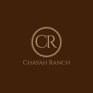 Logo Design by **INCREDIBLEDESIGNERS** for Awaken Faith Foundation | Design: #19539707