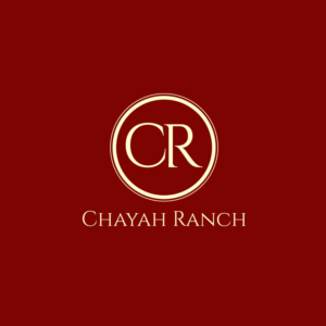 Logo Design by **INCREDIBLEDESIGNERS** for Awaken Faith Foundation | Design: #19543993
