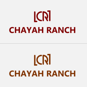 Logo Design by Ariffatoniiii
