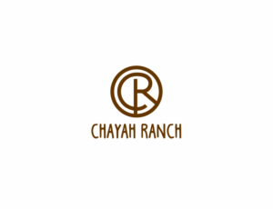 Logo Design by MOH Studio for Awaken Faith Foundation | Design: #19549807