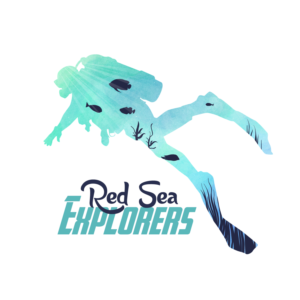 T-shirt Design by Syed 6 for Red Sea Explorers | Design #19529237
