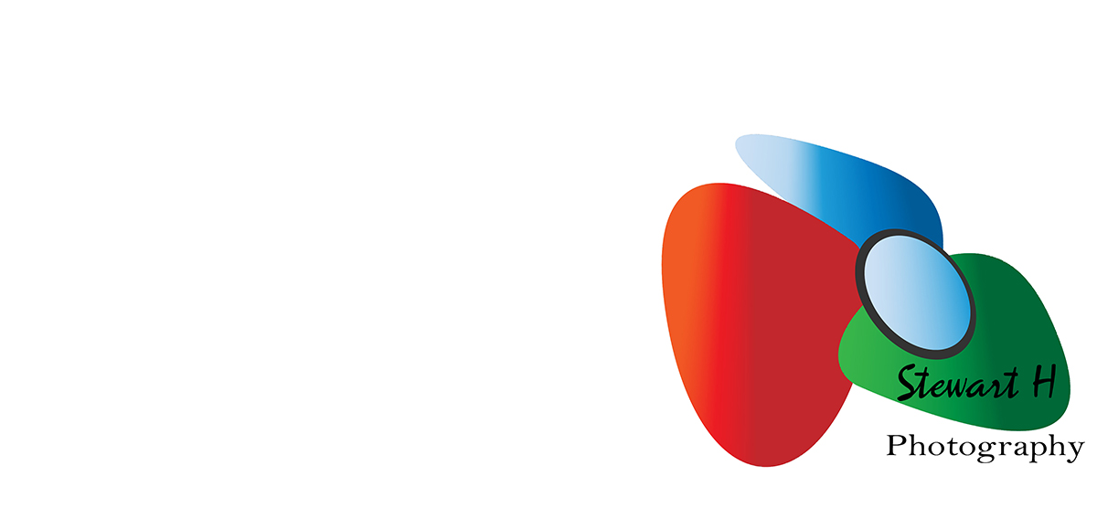 Logo Design by dejanmalzarkov1 for this project | Design #2890675