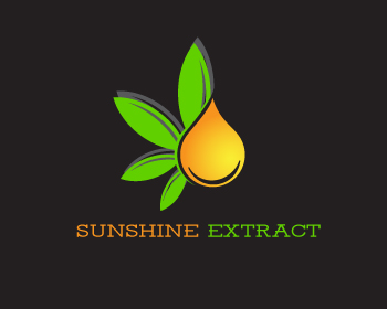 Logo Design by dianagargaritza for this project | Design #19545752