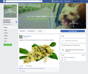 DoggyDerma Facebook Page | Facebook Design by Sucre