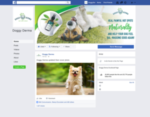 DoggyDerma Facebook Page | Facebook Design by Pinky 