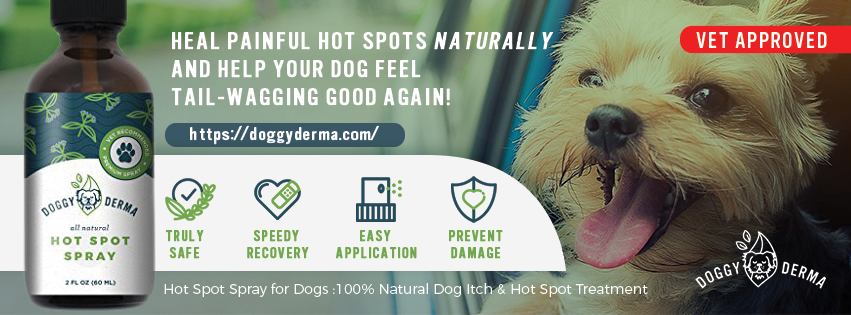Facebook Design by Kristina Andonoff for this project | Design #19540801