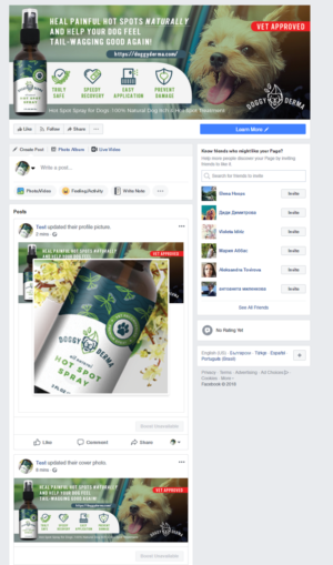 Design Facebook par Kristina Andonoff pour ce projet | Design : #19542467