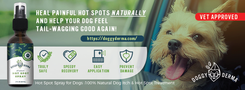 Facebook Design by Kristina Andonoff for this project | Design #19544786