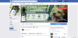 DoggyDerma Facebook Page | Facebook Design by Kristina Andonoff