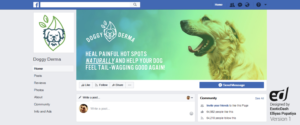 Design Facebook par ExoticDash pour ce projet | Design : #19539397