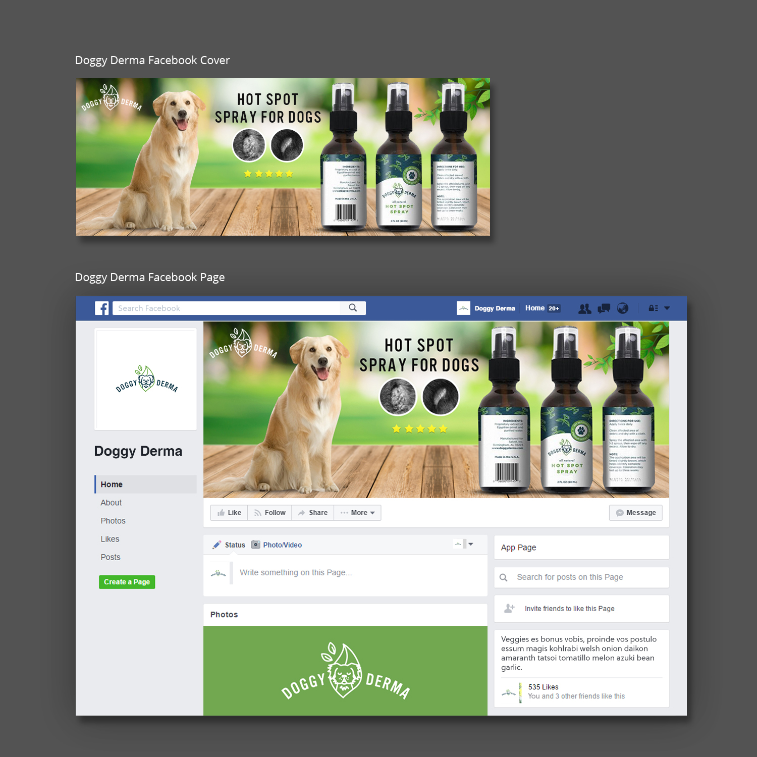 Design Facebook par Pd Work pour ce projet | Design #19529091