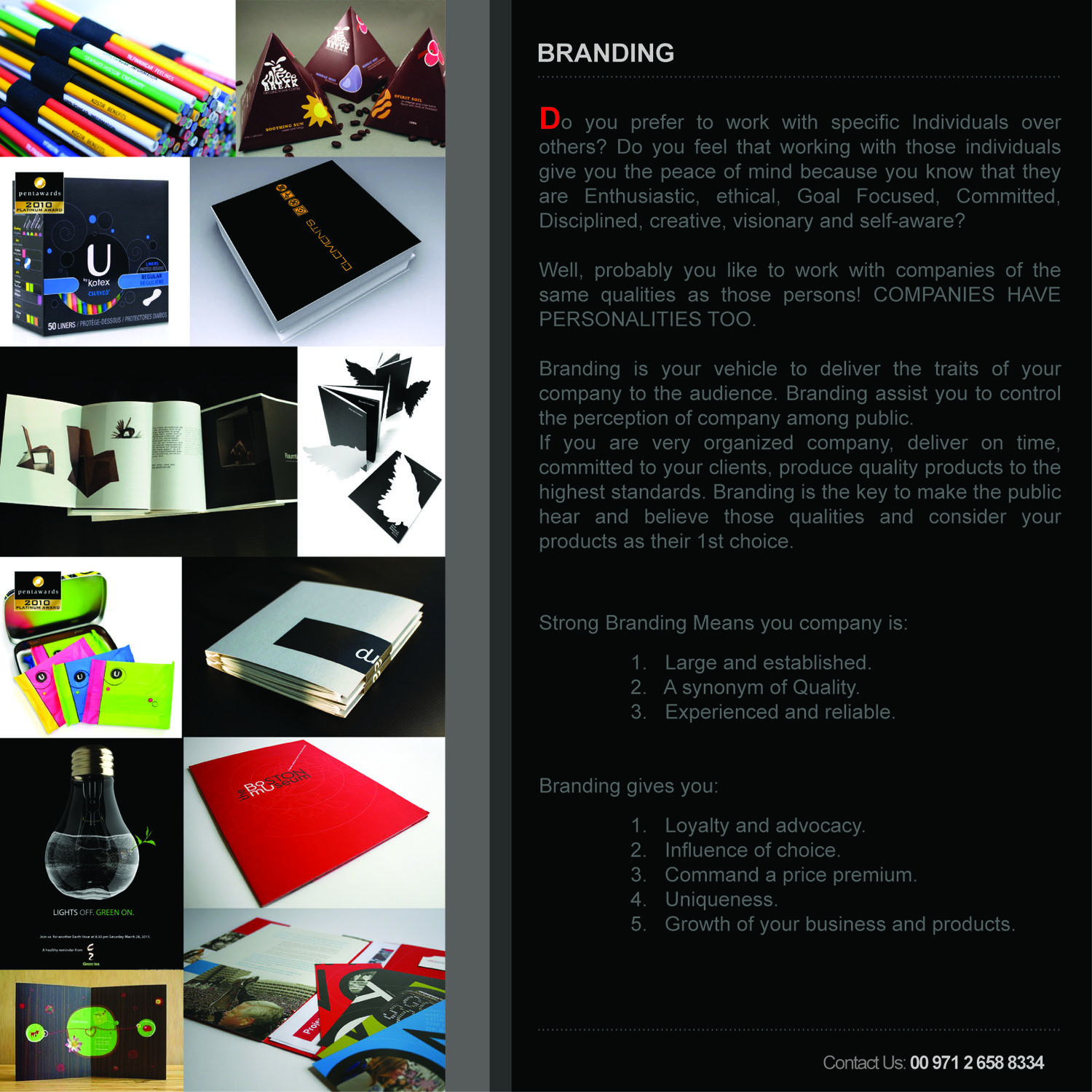 Brochure Design by AriefK for this project | Design #696547