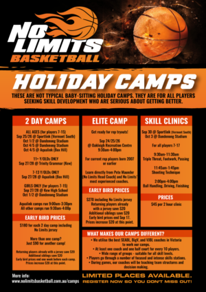 Flyer Design by Sergio Coelho for No Limits Basketball Services | Design: #19537605