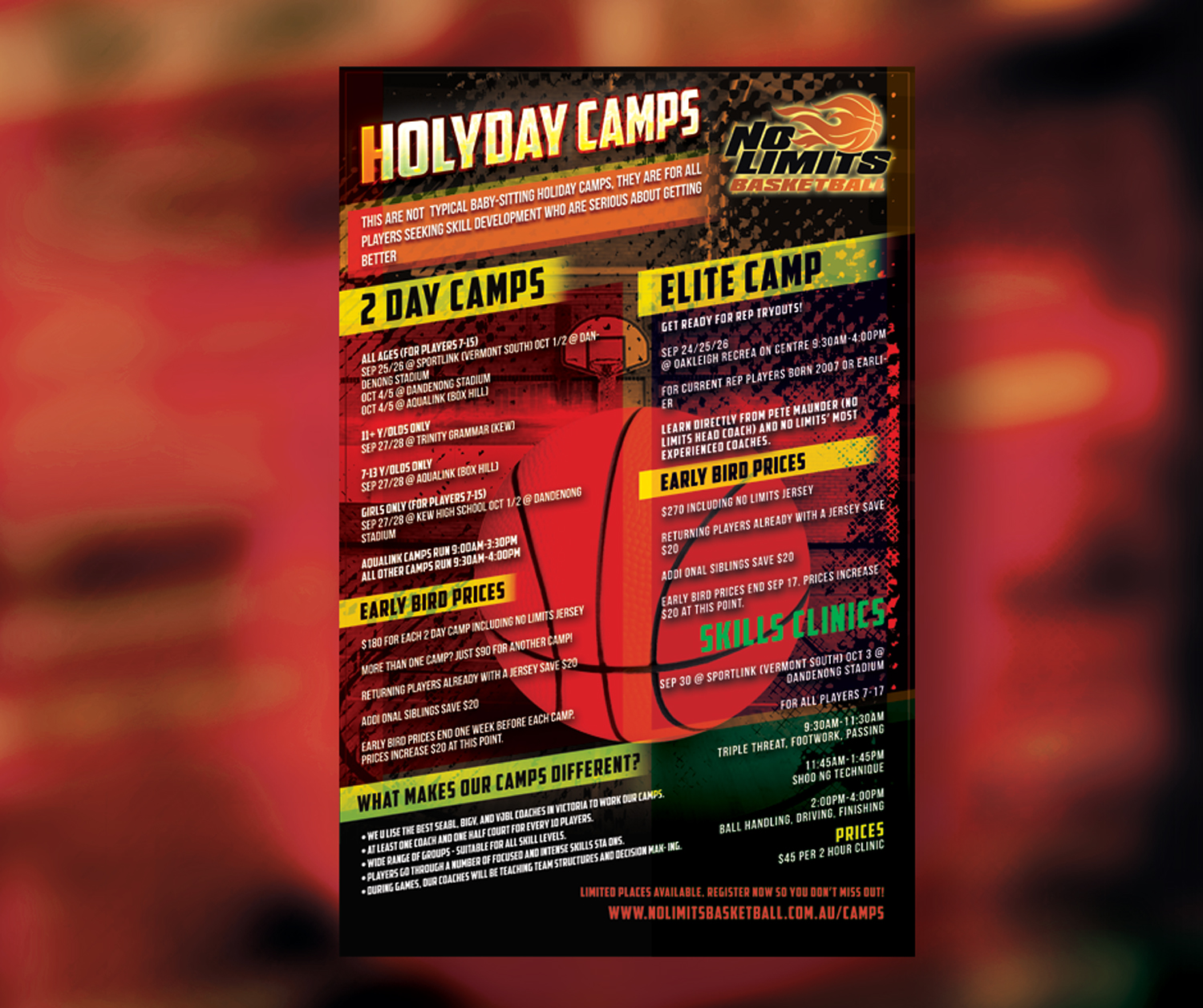 Flyer Design by JTdsign for No Limits Basketball Services | Design #19526816