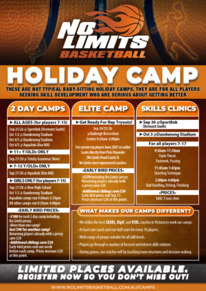 Flyer-Design von Beastmedia für No Limits Basketball Services | Design: #19541256