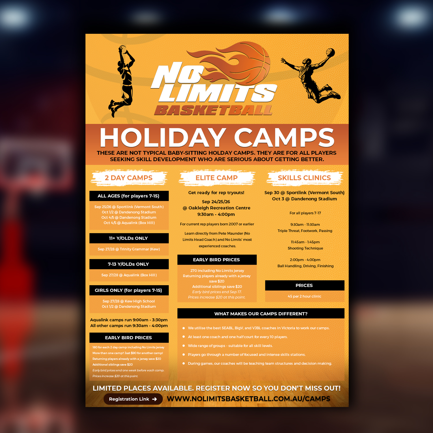 Flyer Design by v.senthil-designer for No Limits Basketball Services | Design #19530830