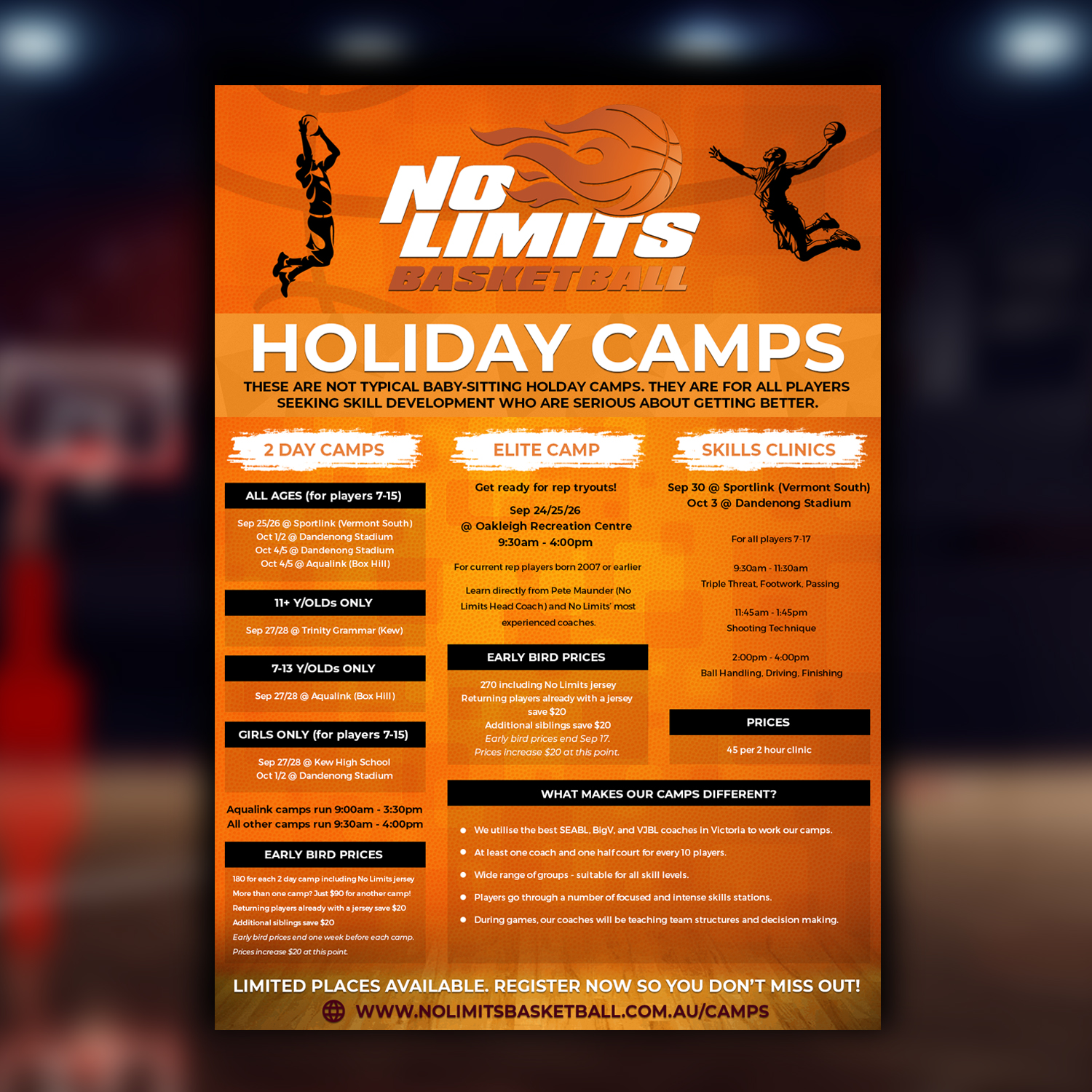 Flyer Design by v.senthil-designer for No Limits Basketball Services | Design #19530831