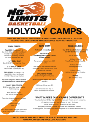 Flyer Design by Roka66 for No Limits Basketball Services | Design: #19540582