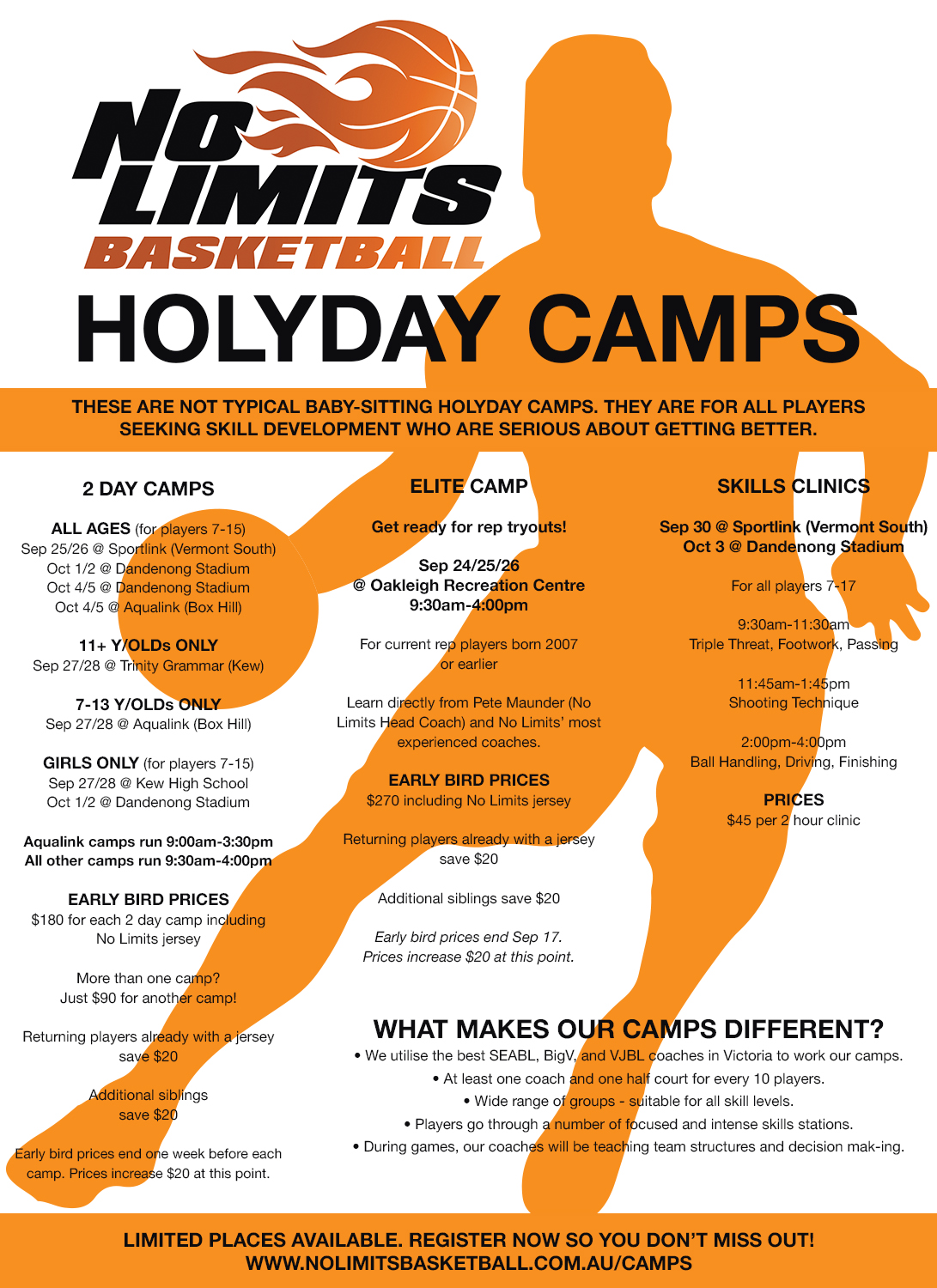 Diseño de Flyer por Roka66 para No Limits Basketball Services | Diseño #19540597