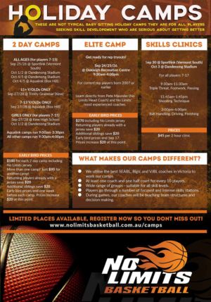 No Limits Basketball needs flyer for school holiday programs | Design de Flyer par Logo Blox