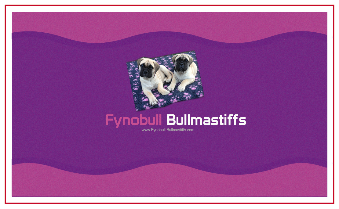 Business Card Design by GK for this project | Design #2953527