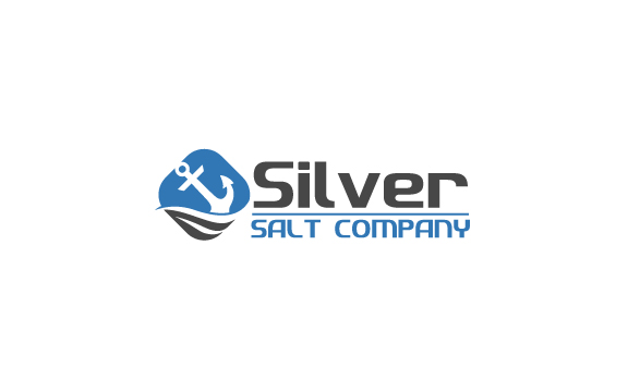 Logo Design by Partha Sarathi 2 for Michigan Salt | Design #19533522