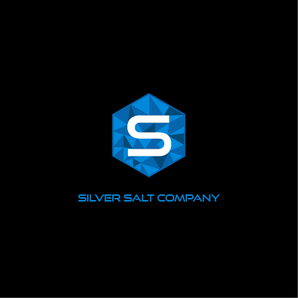 Design de Logo par Nishi 4 pour Michigan Salt | Design #19544641