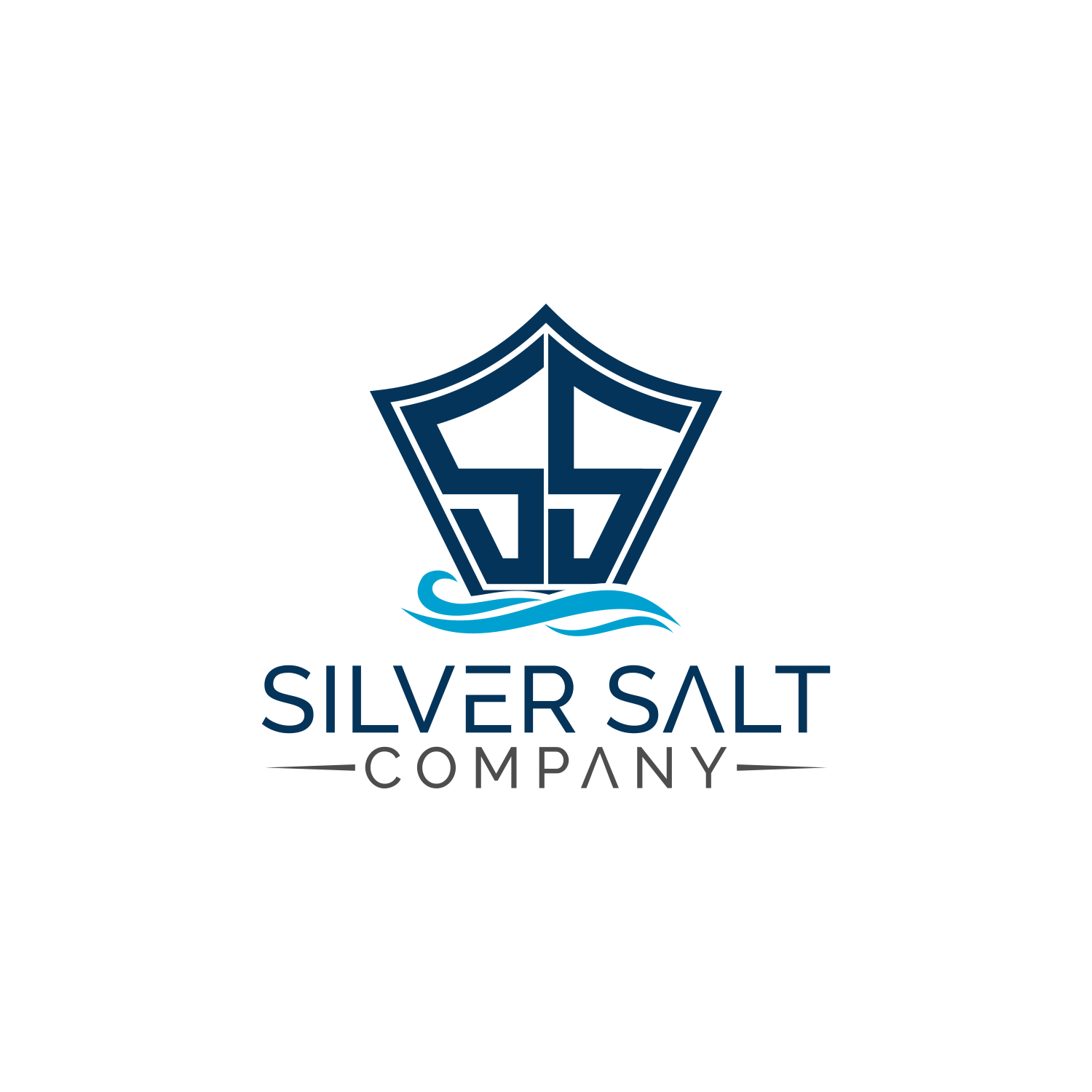 Logo Design by AFDesGraf for Michigan Salt | Design #19557009