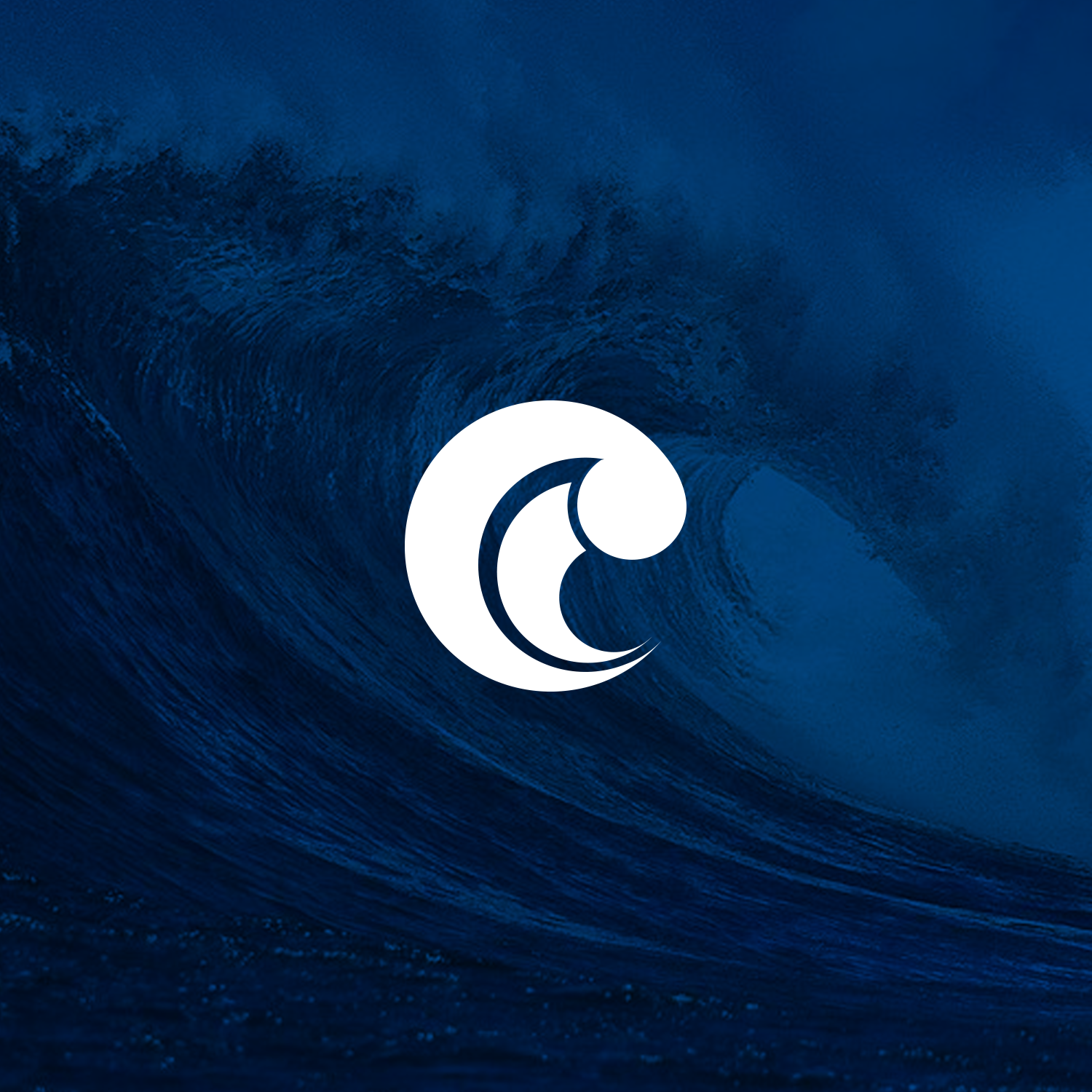 Logo Design by Nikolay Kartin for Wave Design Group LLC | Design #19574267