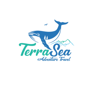 Logo Design by NatachaHoskins 2 for Janssen Enterprises | Design: #19595337