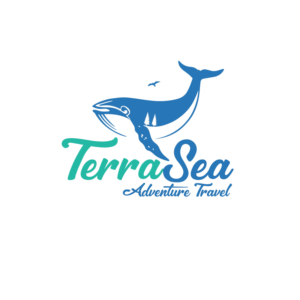 Logo Design by NatachaHoskins 2 for Janssen Enterprises | Design: #19595338