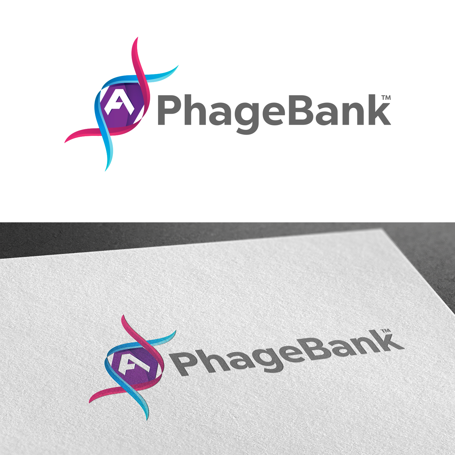 Logo Design by Spekkon for this project | Design #19539587