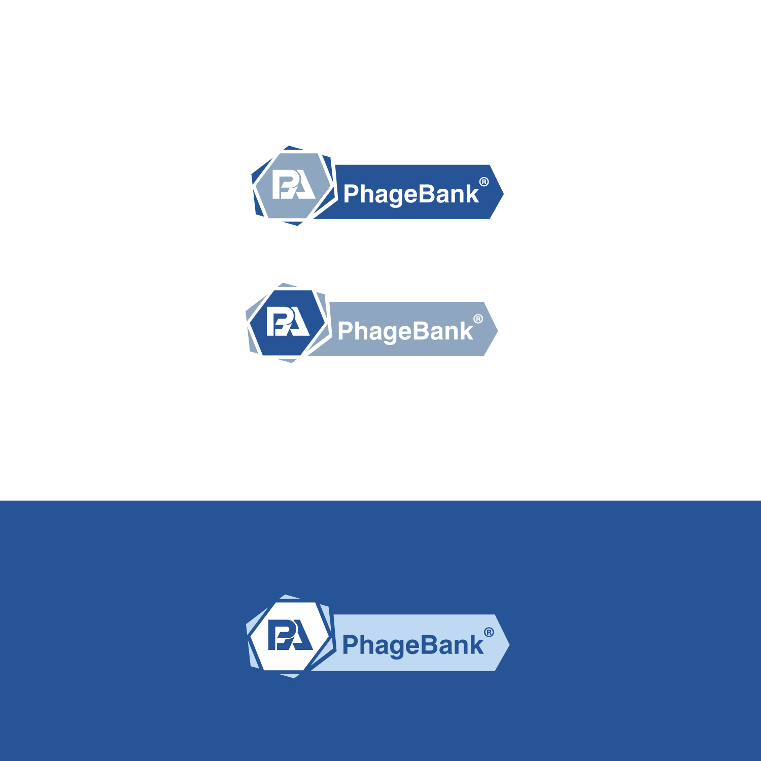 Logo Design by sankar999 for this project | Design #19537466