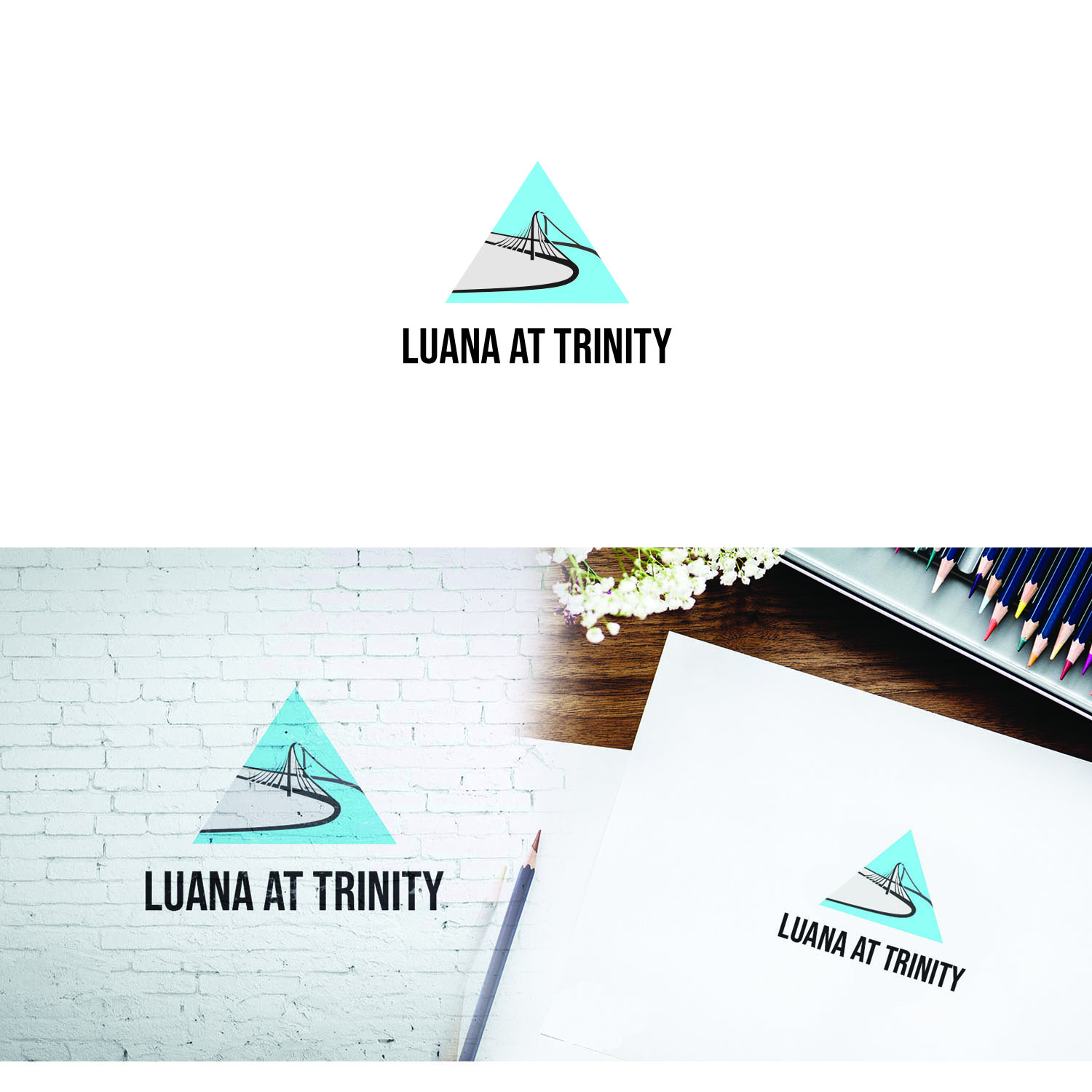 Diseño de Logo por A.STUDIO para Dooley Developments USA, LLC | Diseño #19577989