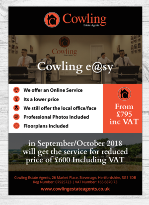 Flyer Design by Victor_pro for this project | Design #19821583