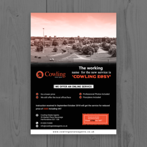 Flyer Design by shantanuc for this project | Design: #19836514