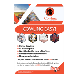 Flyer Design by veeBC for this project | Design: #19848856