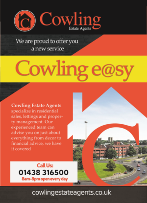 Flyer Design by lyndon