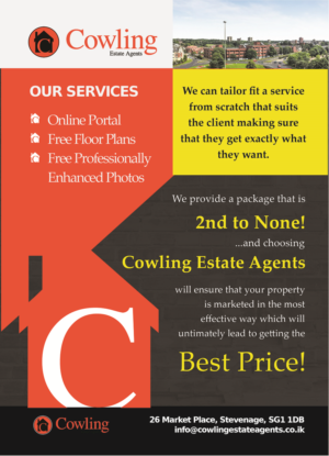 Flyer Design by lyndon for this project | Design #19877660