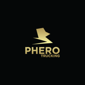 Logo Design by Fly