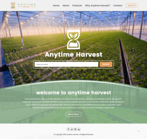 Web Design by pb for this project | Design: #19560122