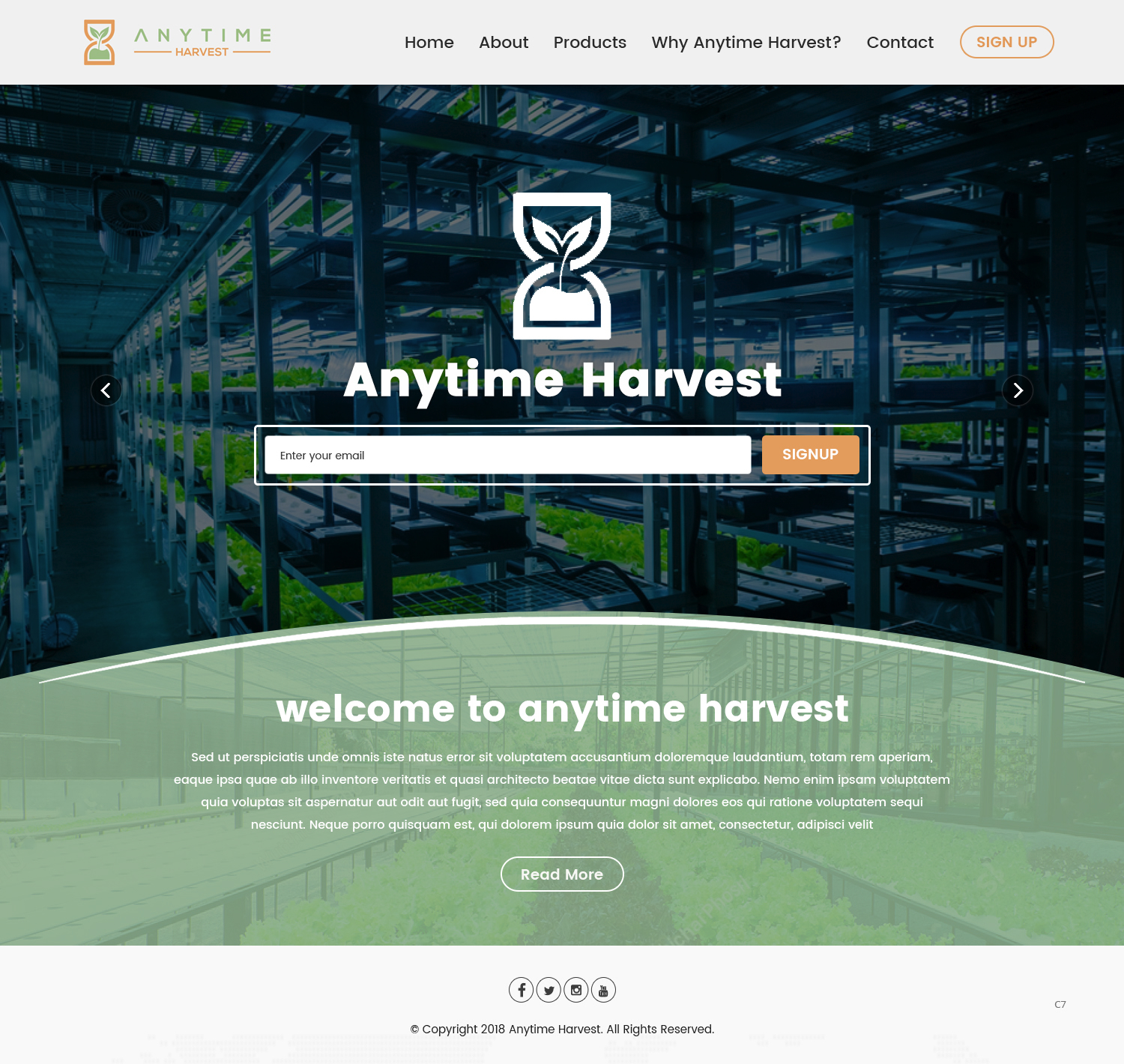 Web Design by pb for this project | Design #19560123