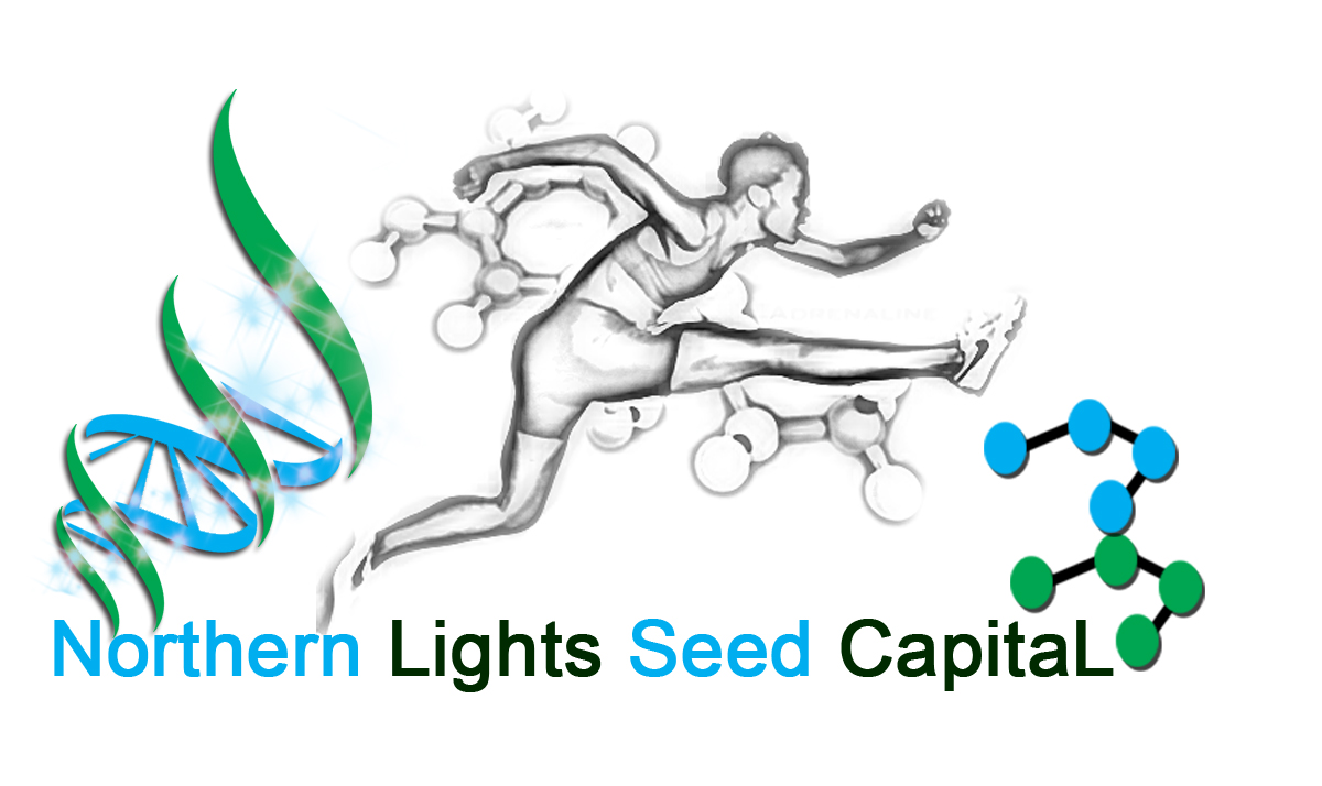 Logo Design by Reymond Sanico for Northern Lights Cap. | Design #54242