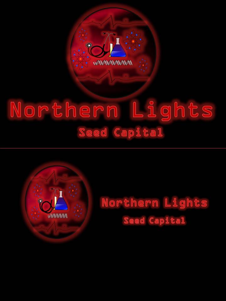 Logo Design by GCs Custom Graphics & Ts for Northern Lights Cap. | Design #55226