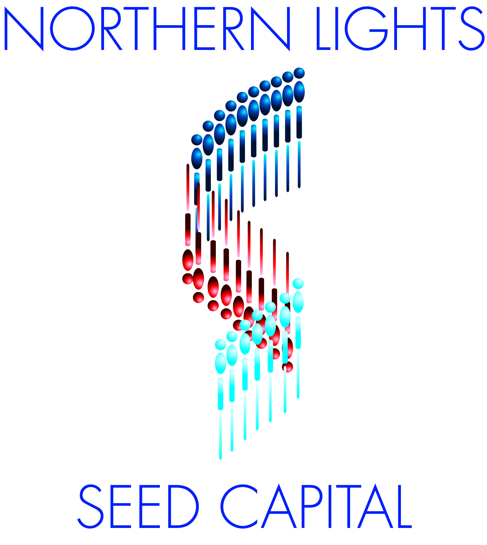 Logo Design by RU Designs for Northern Lights Cap. | Design #54428