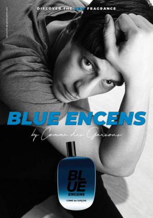 Advertisement Design by artanisel