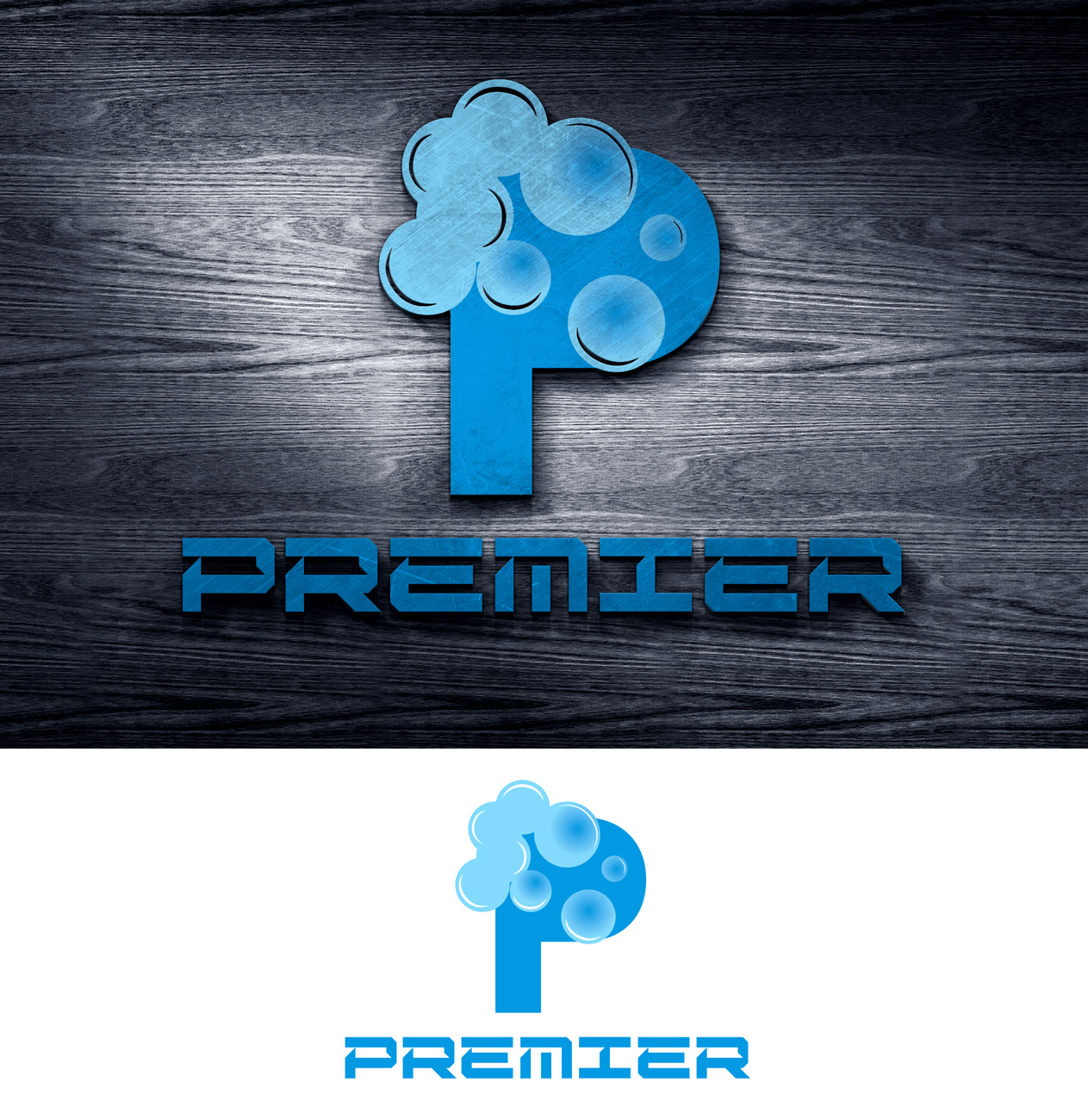 Design de Logo par Impressive Solutions pour Premier Car Wash | Design #19557334