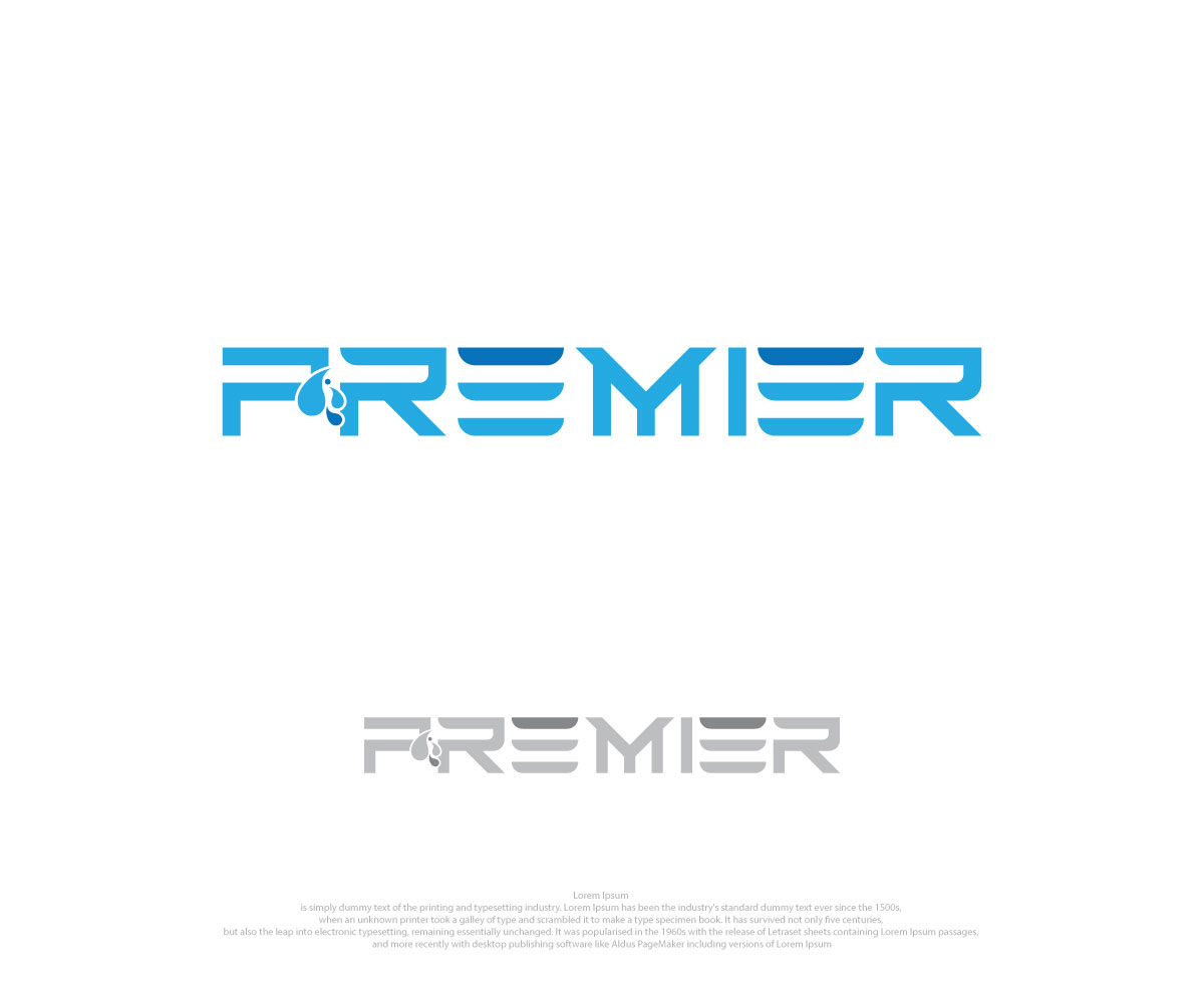 Logo Design by Designs_Hubs for Premier Car Wash | Design #19559522